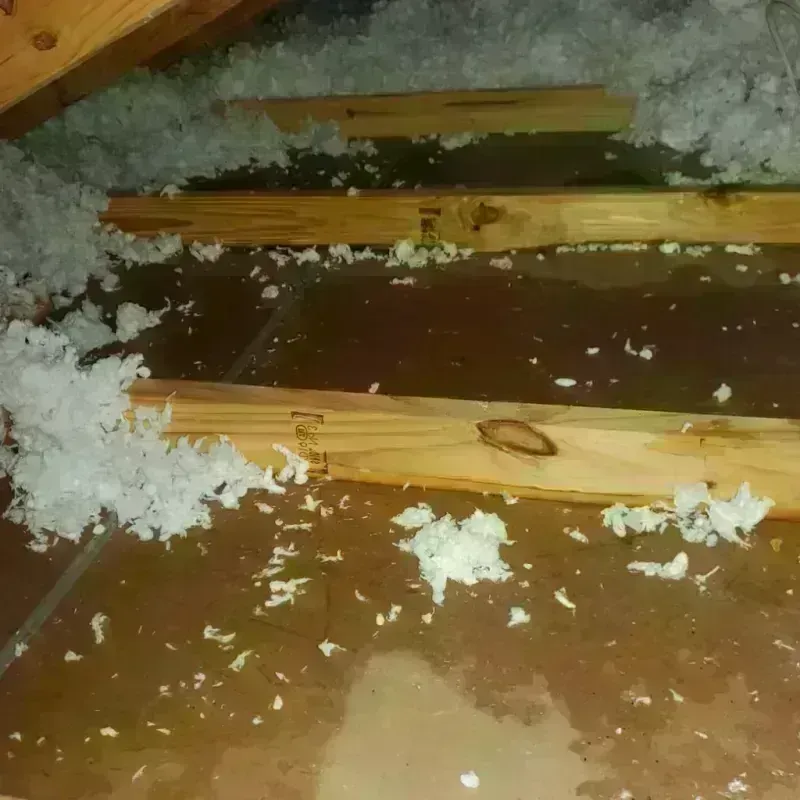 Attic Water Damage in Inniswold, LA